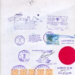 MEA Apostille Embassy Attestation Translation Services